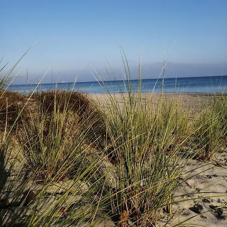 Reiterhof Gross Stubben Apartment *