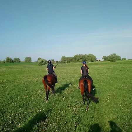 Apartment Reiterhof Gross Stubben