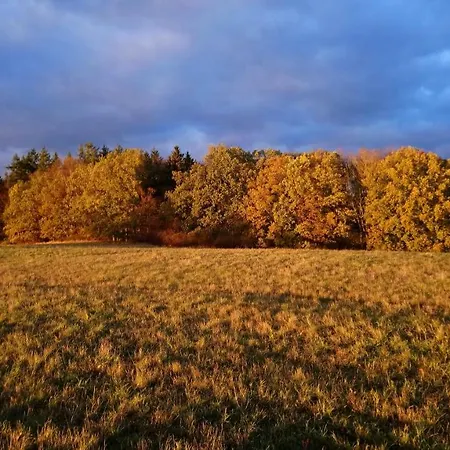 Reiterhof Gross Stubben * Poseritz