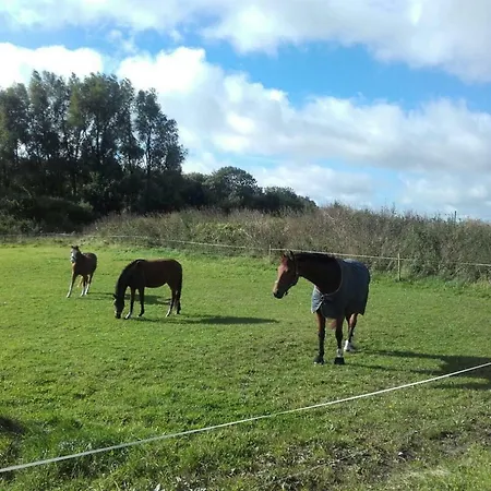 Reiterhof Gross Stubben * Poseritz
