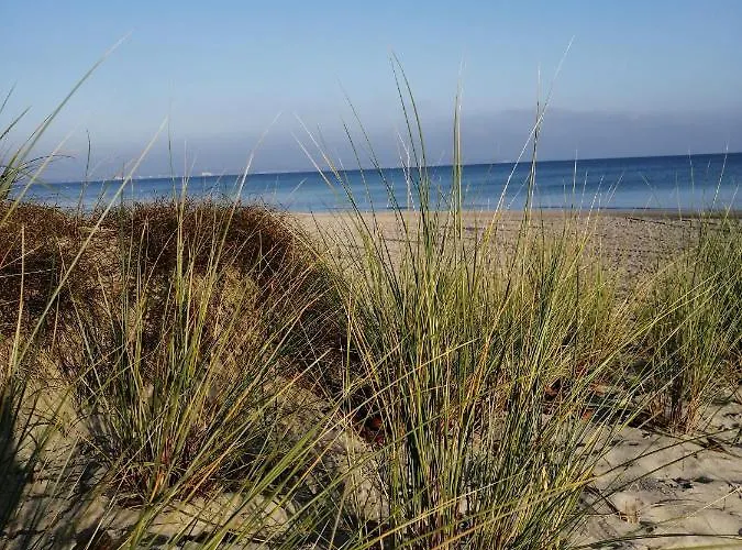 Reiterhof Gross Stubben アパート *