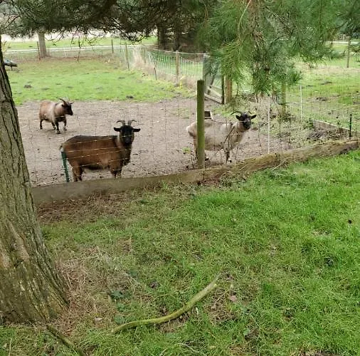 Reiterhof Gross Stubben アパート Poseritz