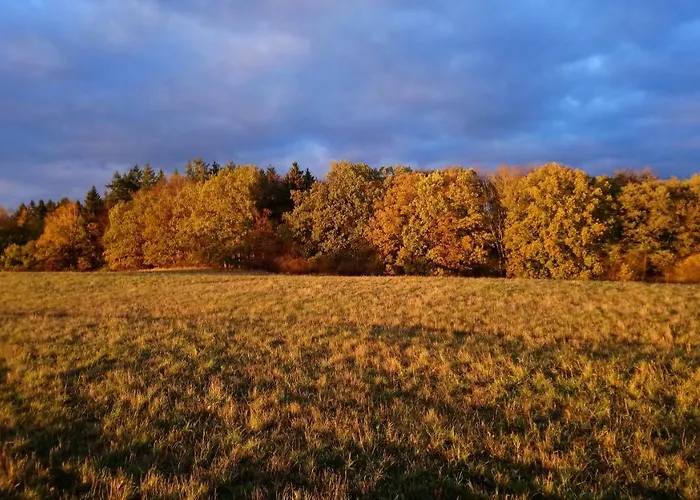 Reiterhof Gross Stubben * Poseritz