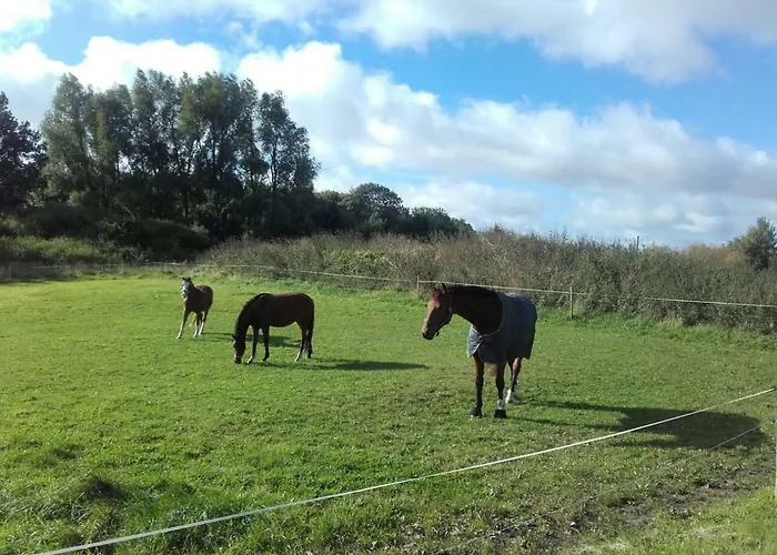 Reiterhof Gross Stubben * Poseritz